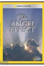 Watch National Geographic Explorer - The Angel Effect Myflixer