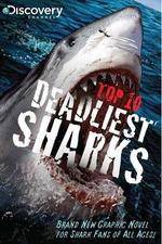 Watch National Geographic Worlds Deadliest Sharks Myflixer