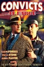 Watch Convicts at Large Myflixer