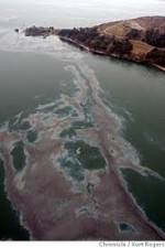 Watch National Geographic: Gulf Coast Disaster Myflixer