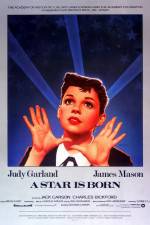 Watch A Star Is Born Myflixer