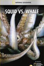 Watch National Geographic Wild - Squid Vs Whale Myflixer