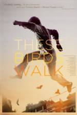 Watch These Birds Walk Myflixer