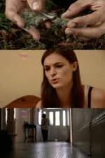 Watch How Drugs Work: Cannabis Myflixer
