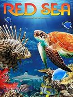 Watch Red Sea 4K Myflixer