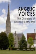 Watch Angelic Voices The Choristers of Salisbury Cathedral Myflixer