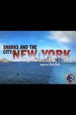 Watch Sharks and the City: New York Myflixer