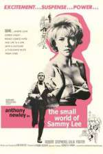 Watch The Small World of Sammy Lee Myflixer