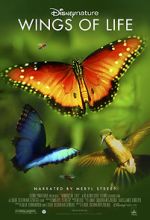 Watch Disneynature: Wings of Life Myflixer