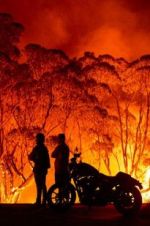 Watch Fire Fight Australia Myflixer