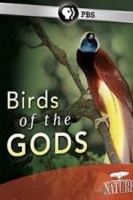 Watch Birds Of The Gods Myflixer