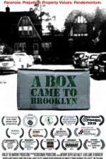 Watch A Box Came to Brooklyn Myflixer