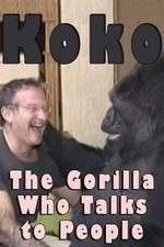 Watch Koko: The Gorilla Who Talks to People Myflixer