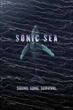Watch Sonic Sea Myflixer