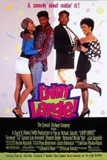 Watch Livin' Large Myflixer