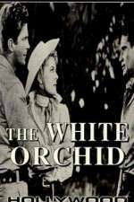 Watch The White Orchid Myflixer