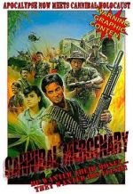 Watch The Mercenary Myflixer