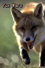 Watch Fox Wars Myflixer