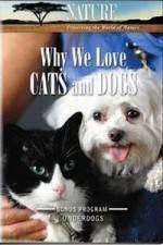 Watch Why We Love Cats And Dogs Myflixer