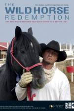 Watch The Wild Horse Redemption Myflixer