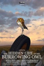 Watch The Hidden Life of the Burrowing Owl (Short 2008) Myflixer