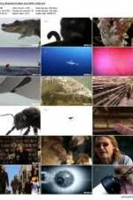 Watch History Channel Evolve: Sex Myflixer