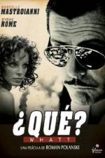 Watch Che Myflixer