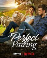 Watch A Perfect Pairing Myflixer