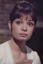 Watch Gidget Grows Up Myflixer