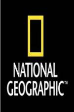 Watch National Geographic Wild War Elephants Myflixer