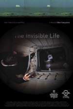 Watch A Vida Invis�vel Myflixer