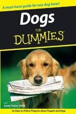 Watch Dogs for Dummies Myflixer