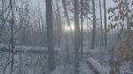 Watch Once There Was a Winter Myflixer