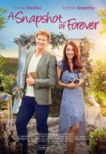 Watch A Snapshot of Forever Myflixer