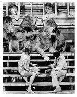 Watch Roar: The Most Dangerous Movie Ever Made Myflixer