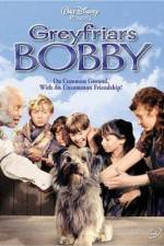 Watch Greyfriars Bobby The True Story of a Dog Myflixer