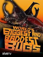 Watch World\'s Biggest and Baddest Bugs Myflixer