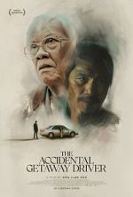 Watch The Accidental Getaway Driver Myflixer