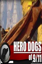 Watch Hero Dogs of 911 Documentary Special Myflixer