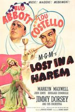 Watch Lost in a Harem Myflixer