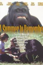 Watch A Summer to Remember Myflixer
