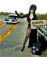 Watch The Elvira Show Myflixer