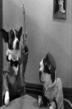 Watch The Two Barks Brothers Myflixer