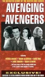 Watch Avenging the Avengers Myflixer