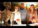 Watch Inside the Body of Henry VIII Myflixer