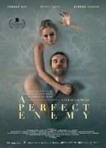 Watch A Perfect Enemy Myflixer