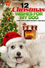 Watch 12 Christmas Wishes For My Dog Myflixer