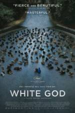 Watch Feh�r isten Myflixer