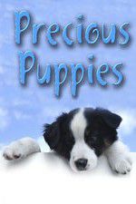 Watch Precious Puppies Myflixer