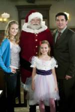 Watch The Case for Christmas Myflixer
